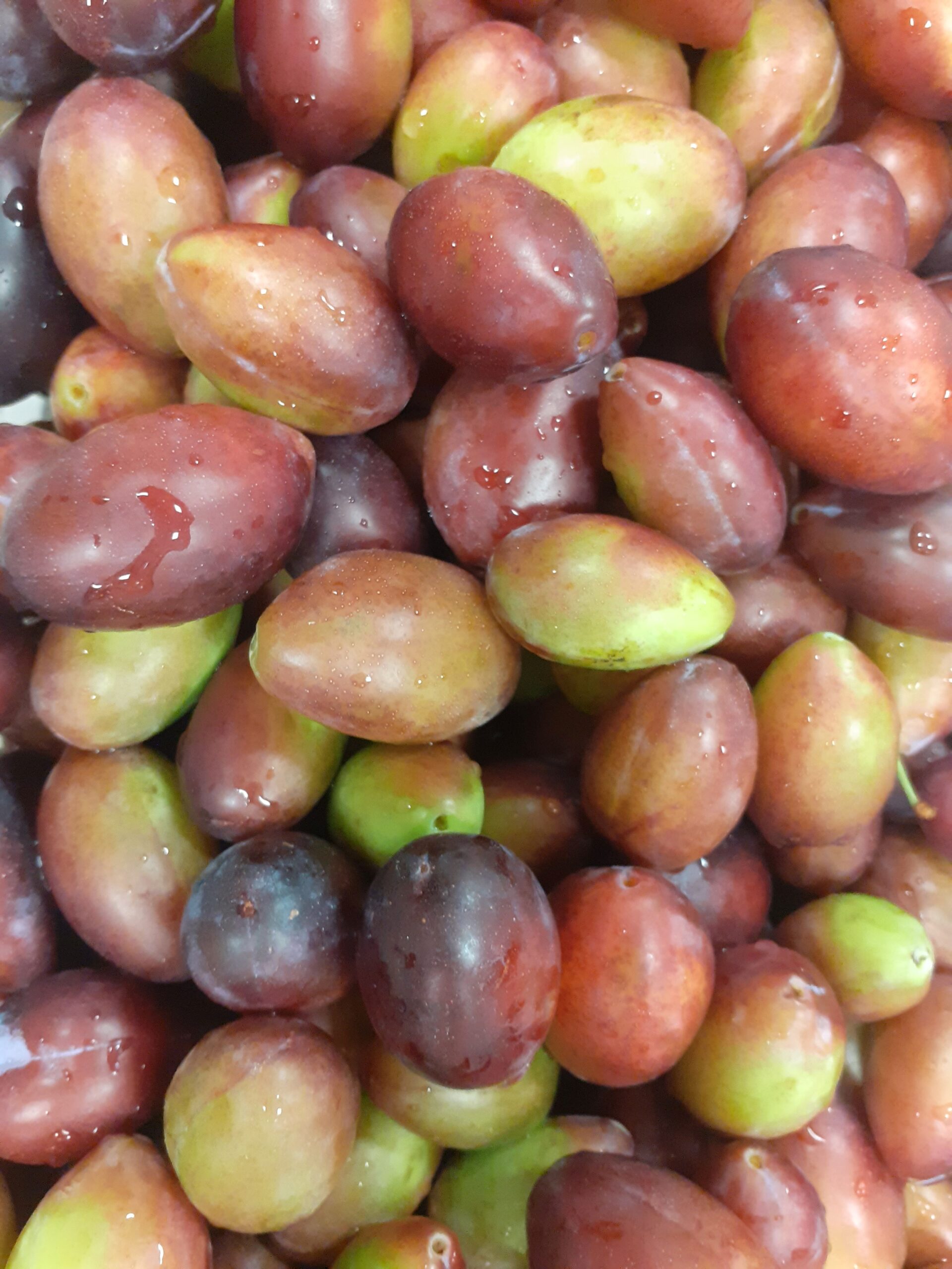 Cetrioli in agrodolce linea gourmet
